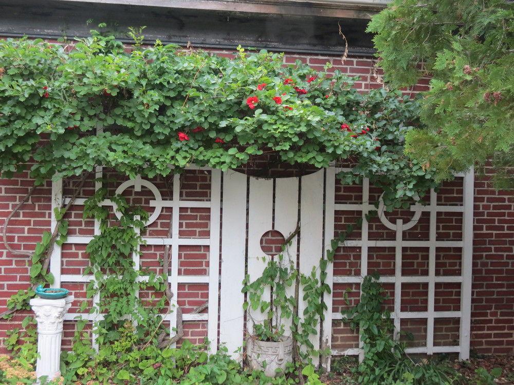 Silver Fountain Inn Dover Exterior photo